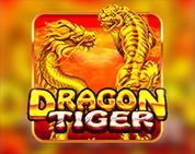 Dragon Tiger PP